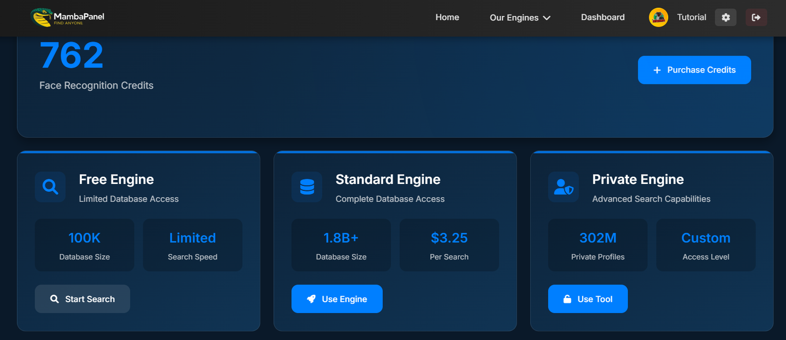 MambaPanel Dashboard