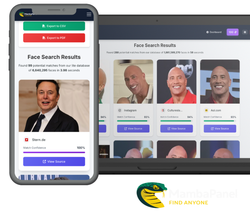 MambaPanel Platform Interface
