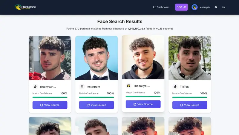 Standard Engine Search Demo 3